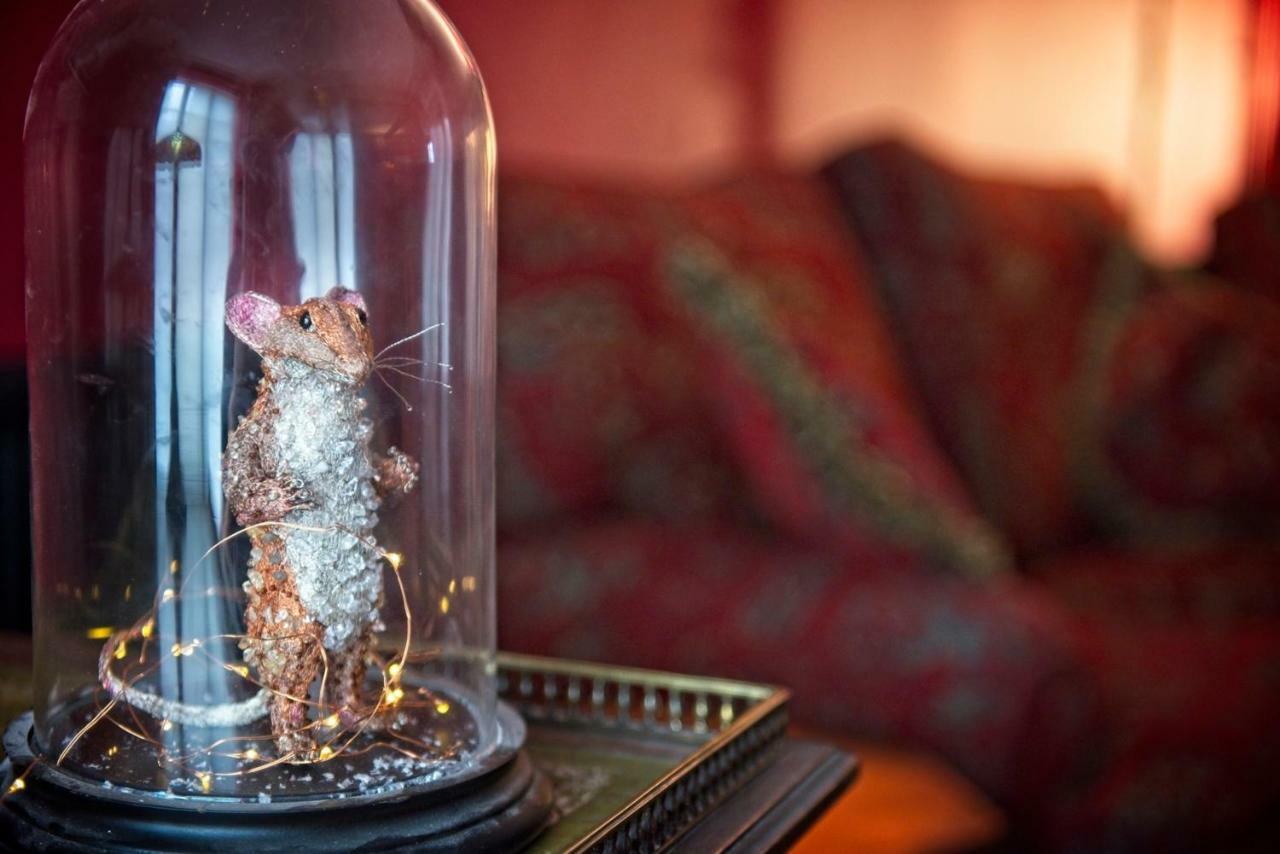The Old Vicarage Hotel & Restaurant Bridgwater Exterior photo A mouse in a bell jar